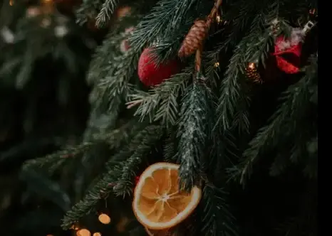 alsu-vershinina-F4erkqWZvQE-unsplash